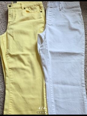 DG2 by Diane Gilman Lot of 2 Pants – Size 12P / PL